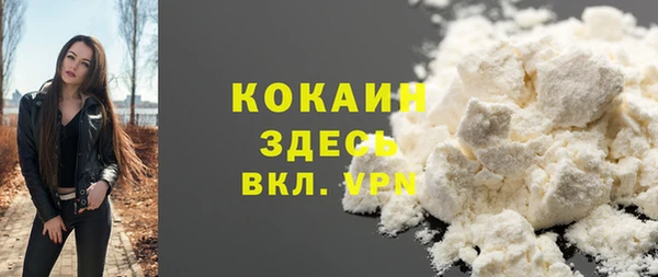 прущие грибы Алексеевка