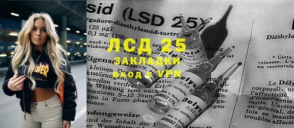 прущие грибы Алексеевка