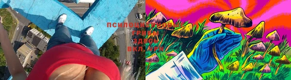 прущие грибы Алексеевка